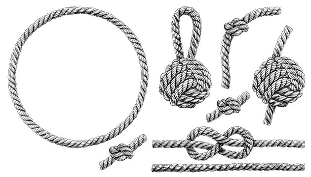 Set of knotted ropes cords monkey fist knot, eight knots. Nautical thread whipcord with loops and noose. Rope cord Twisted Round frame. Illustration hand drawn graphic isolated background.