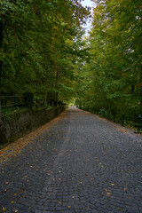 Obraz premium Road and walkway up to Peles Castle in rural Romania