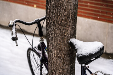 vélo sous la neige posé contre un arbre