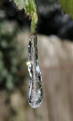 Eiszapfen mit filigraner Kunst