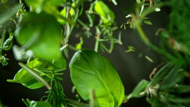 Super slow motion of falling and rotating fresh herbs. Ultimate perspective and motion. Filmed on high speed cinema camera, 1000 fps.