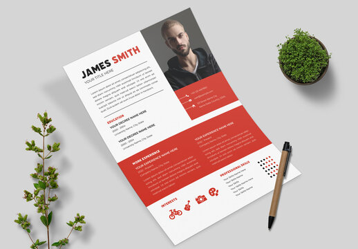 Professional Resume Layout With Red Accent
