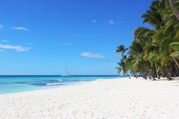 Beach with white sand and palm trees on a tropical island in the Caribbean