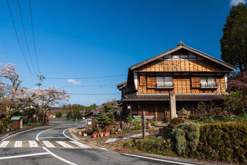 preserved wooden house with cherry sakura tree at Kiso valley