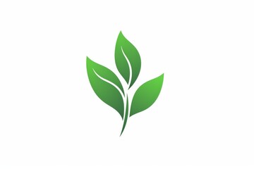 Fototapeta premium Leaf logo illustration icon