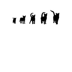 Vector silhouette of a cat on a white background. Collection of vector silhouettes of cats from small to large. Symbols of animals and pets.