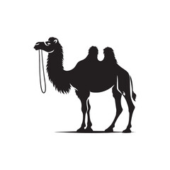 Dusk Caravan: Camel Silhouette Series Silhouetted Against the Warm Palette of Desert Sunsets - Camel Illustration - Camel Vector
