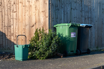 Christmas tree collection with recycling bins and food waste caddy on pavement