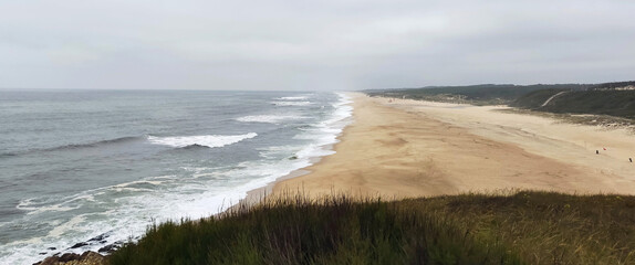 Wild ocean shore with hills covered with grass