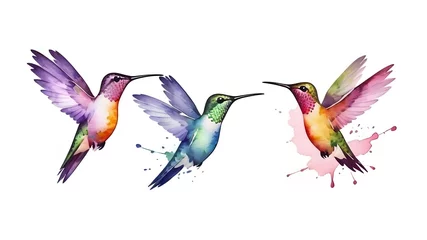 Fotobehang Kolibrie set of hummingbirds handmade watercolour on white background 