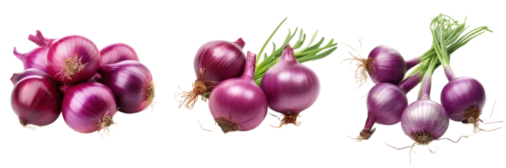 Wandcirkels aluminium Set of purple onions isolated on transparent or white background © Luckygraphics