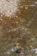 Rocky bottom of the Bistrica river.