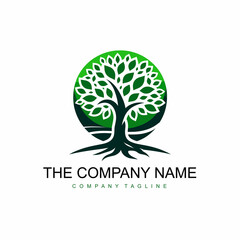 Fototapeta premium A green tree logo for your company