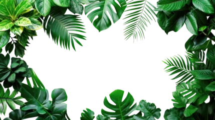 Fotobehang Tropical green leaves for decoration of art frame wallpaper,card on transparent background. © Areerat