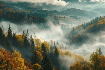 beautiful mountain view with autumn fog - obrazy, fototapety, plakaty