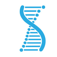 Molecular structure and DNA vector set