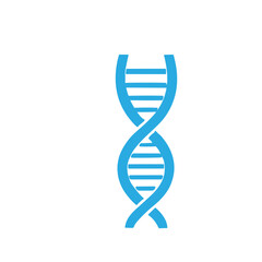 Molecular structure and DNA vector set