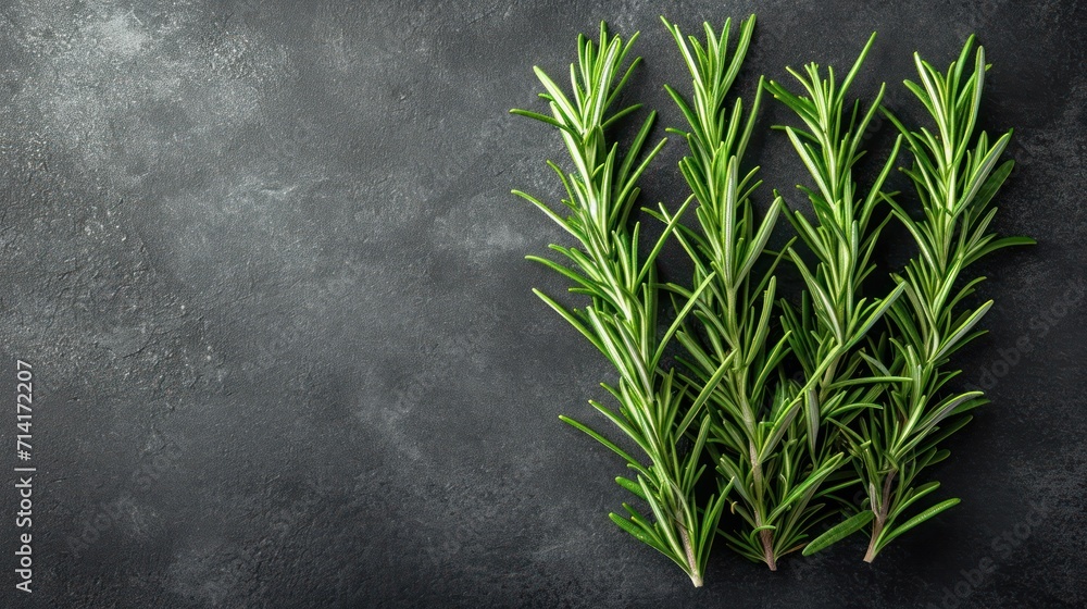 Poster a close up of a sprig of rosemary on a dark background with space for a text or an image to put on t