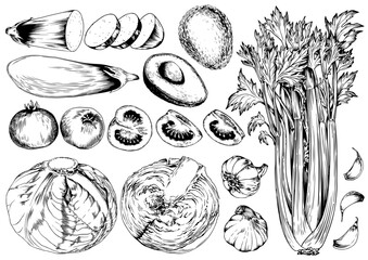 Set of hand drawn green vegetables. Sketch collection. Black and white vector illustration.