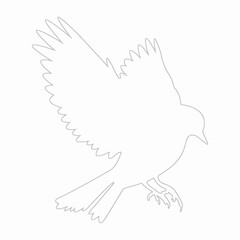Bird illustration line art vector eps