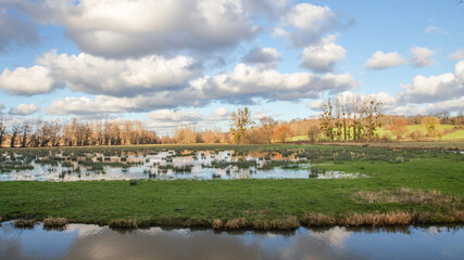 Les marais de Robehomme, Calvados, Normandie.