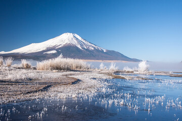 山中湖から富士山と霧氷