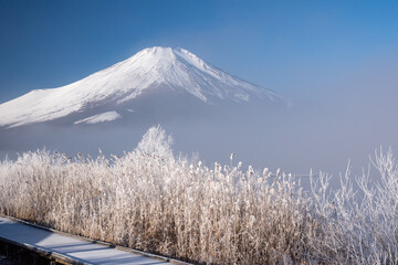 山中湖から朝霧と富士山
