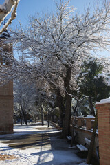 Famoso parque Muel Zaragoza nevado, iglesia antigua , españa, invierno, sol y nieve