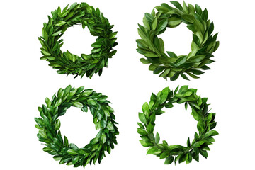 Green round wreath of laurel leaves top view on transparent background