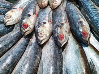 Fresh Fish from the sea to your table, Grouper, Snapper, Ice, Sea, Fishing