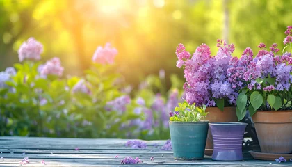 Tuinposter Gardening background with flowerpots in sunny spring or summer garden © Oleksiy