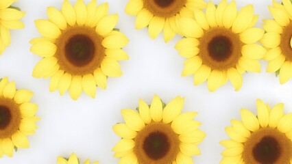 Beautiful Sunflowers on white surface