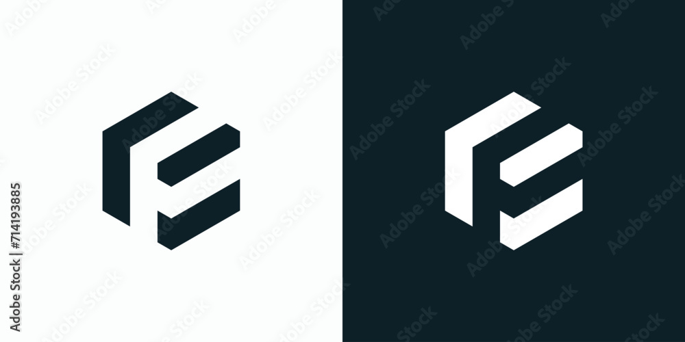 Poster vector logo design for the initials f and e with a hexagon shape.