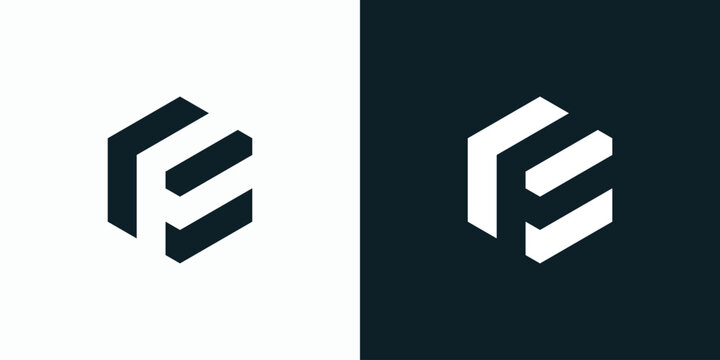 Vector logo design for the initials F and E with a hexagon shape.