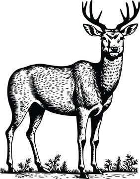 Deer Silhouette Vector Art illustrator Design