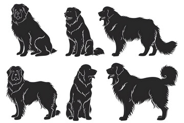 Tibetan Mastiff dog silhouette set, ancient breed, white background, illustration, Generative AI