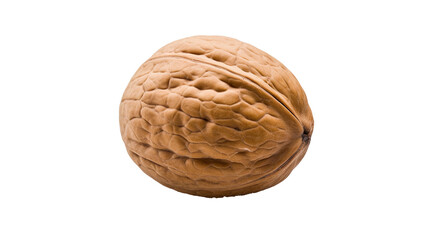 Close up single brown walnut shell