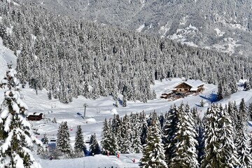 Ski resort Courchevel by winter, by a restaurant on the slopes between snowy trees. 