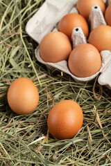 Homemade chicken eggs in a cardboard tray on a straw.
