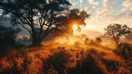 Rolgordijnen Sunrise in the African savanna inspired by   South Africa nature © IRStone