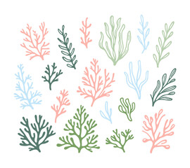 Fototapeta premium Colored vector seaweed on a white background.
