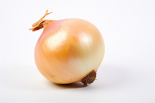 One onion, isolated white background