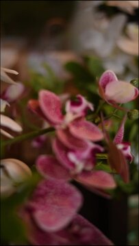Decoracao de casamento, foca em flor rosa com detalhes em branco