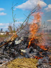 Smoke billows from a fire amidst dry grass. Illegal burning of leaves and dry grass.