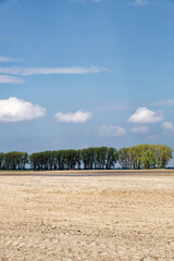 A plowed field under a sky filled with fluffy clouds, bordered by a line of lush green trees.