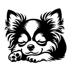 black and white chihuahua sleep, svg type vector