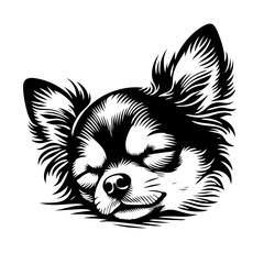 black and white chihuahua sleep, svg type vector - obrazy, fototapety, plakaty