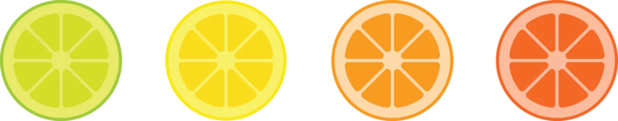 Foto op Plexiglas Citrus slice set. Lemon slice. Orange slice. Lime slice. Vector illustration © Hasitha