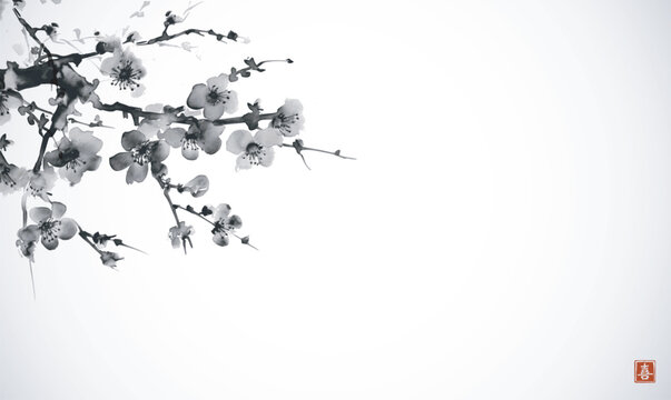  Minimalist sumi-e painting of sakura branches, with delicate cherry blossoms painted with black ink. Traditional oriental ink painting sumi-e, u-sin, go-hua. Translation of hieroglyph - joy