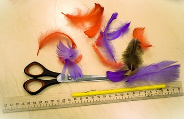scissors, ruler, yellow pencil and colored feathers on the table